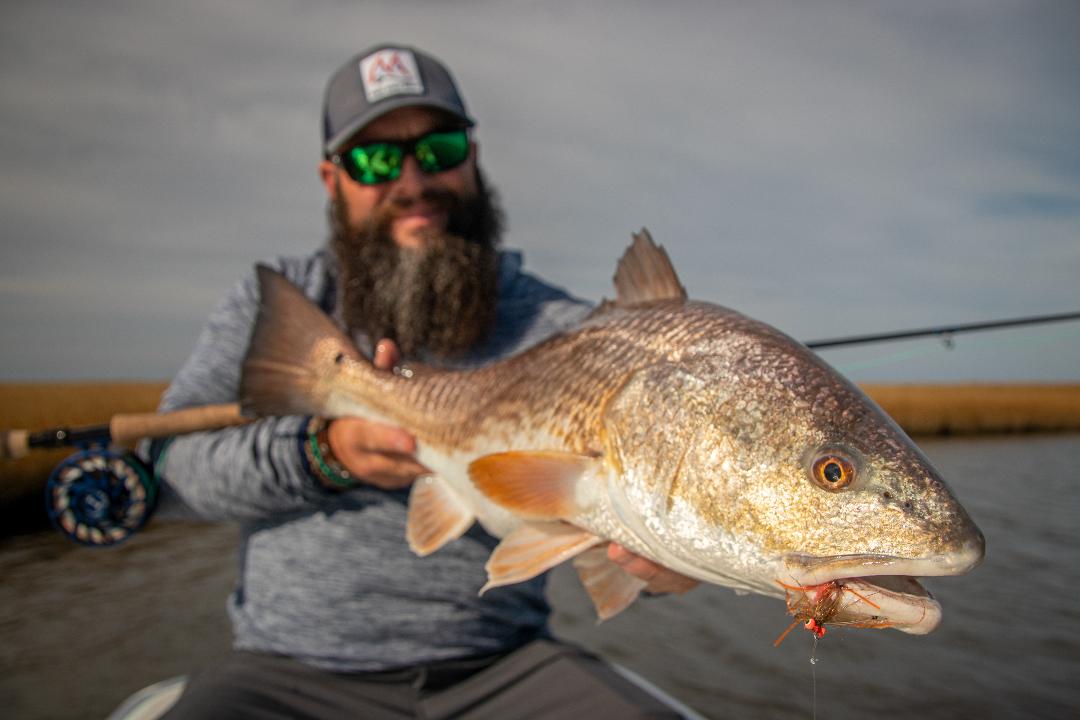 Swansboro area waters may hold North Carolina's best red drum fishing